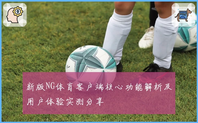新版NG体育客户端核心功能解析及用户体验实测分享