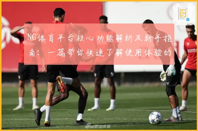 NG体育平台核心功能解析及新手指南：一篇带你快速了解使用体验的全面分析